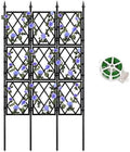 WellSign Garden Trellis for Climbing Plants Outdoor 63 Inch Iron Pipe by WellSign