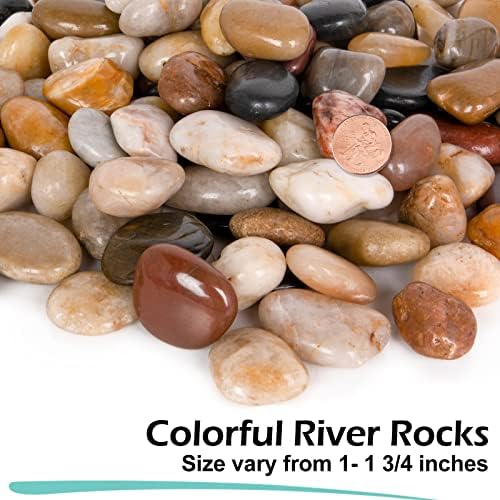 GASPRO 30-lb Natural River Rocks for Landscaping, Decorative Rocks for Potted Plants and Aquariums, Polished River Stones for Indoor & Outdoor Decor, 1 to 1 3/4 Inches - Image 2