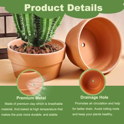 8 Inch Shallow Terracotta Pot for Succulent - 2 Pcs Large Clay Planter Pots with Drainage Hole, Shallow Plant Pottery Pots for Cactus Succulent and Other Indoor Outdoor Plants - Image 3