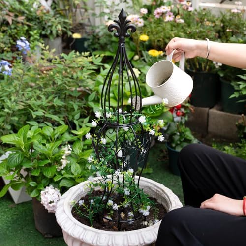 Metal Garden Trellis for Climbing Plants – 29.5" Durable Support - Image 5