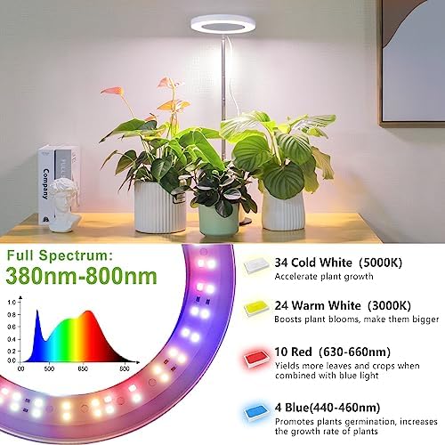 LORDEM Desk Grow Light, Full Spectrum LED for Indoor Plants - Image 6