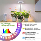 LORDEM Desk Grow Light, Full Spectrum LED for Indoor Plants - Image 6