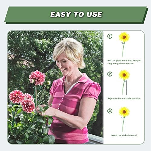 20 Pack 24 Inch Plant Support Stakes for Outdoor Plants and Indoor Flowers - Image 4