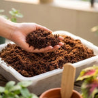 Coco Coir Brick - Low EC & pH Balanced, Compressed Organic Coconut Fiber Potting Mix for Indoor Outdoor Plants, Seed Starting, Hydroponics & Reptile Bedding(11.2lb) - Image 7