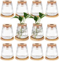 Baderke 12 Pack Propagation Vases for Plants, Vertical Grain Style by Baderke
