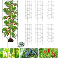 6 Packs Tomato Cages for Garden, 12"×12"×48" Plant Support Cage with Different Spacing, Green Metal Trellis for Climbing Plants Like Cucumber, Flowers by Unknown