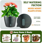 Self Watering Pots for Indoor Plants, 6-Pack 6.7'' Self Watering Planter with Drainage Holes, Small African Violet Pots with Water Indicator, Clear Wick Orchid Pot, Grey Gold - Image 2