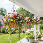 4pcs 16 inch Metal Hanging Baskets Round Wire Plant Stand with Coco Lining Cushion Decorative Planter Hanger Garden Indoor Outdoor Watering Hanging Basket （AX） - Image 7