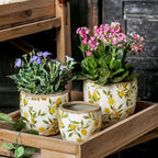 Reto Rustic Ceramic Flower Pots for Garden Plants and Succulents,Distressed Cracked Glazed Planters with Drainage Holes Tuscan Flower Pots for Outdoor,Yellows,with Hole - Image 6