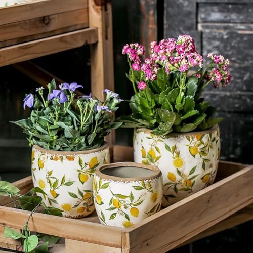 Reto Rustic Ceramic Flower Pots for Garden Plants and Succulents,Distressed Cracked Glazed Planters with Drainage Holes Tuscan Flower Pots for Outdoor,Yellows,with Hole - Image 6