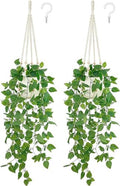 Mkono Macrame Plant Hangers Set of 4 and Fake Hanging Plant with Pot Set of 2 by Mkono