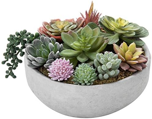 MyGift 8 Inch Round Artificial Succulent Plants in Gray Concrete Plant Bowl by MyGiftHome