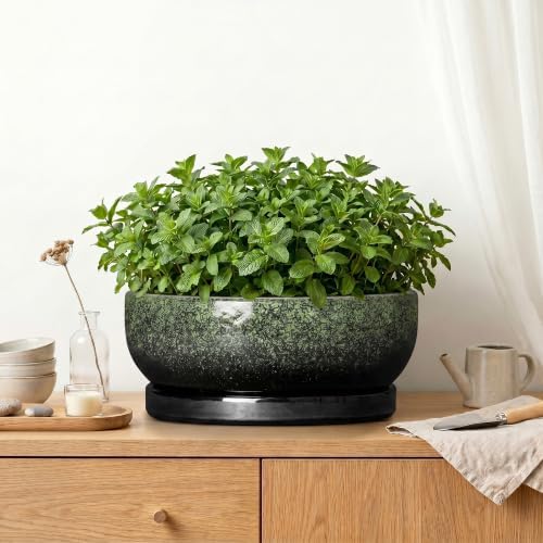 Bonsai Tree Pots 13 Inch, Ceramic Succulent Pots, Speckle Green - Image 6