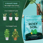 Rosy Soil Indoor Potting Soil Bundle, Organic Houseplant, Aroid and Cactus Potting Mix Set, Peat-Free Biochar Formula, 4 Qt Each - Image 5