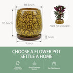 10.3 Inch Ceramic Glaze Plant Pot with Saucer, Flower Pots with Drainage Hole Mesh Net (Spot Yellow) - Image 6