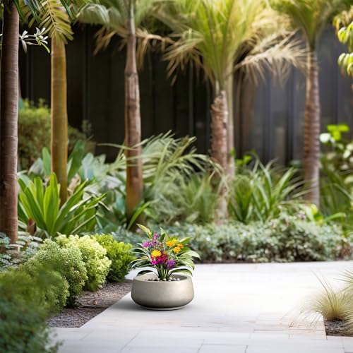 Kante Small Round Shallow Weathered Concrete Planter 12.5" Dia, Outdoor - Image 5