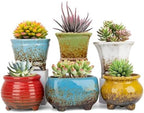 ARTKETTY Succulent Pots, Small Plant Pots with Drainage Set of 6 by ARTKETTY