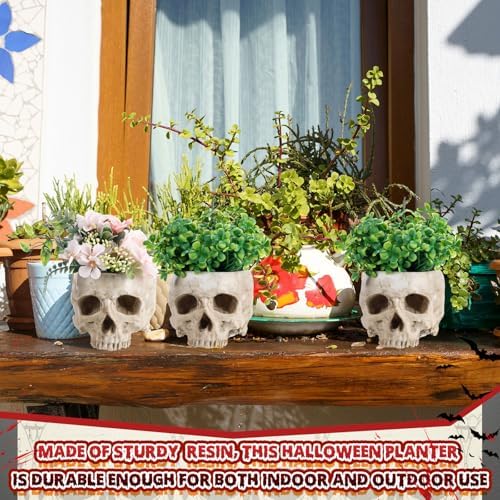 2 Pack Halloween Skull Planter, Beige, Vintage - Image 3