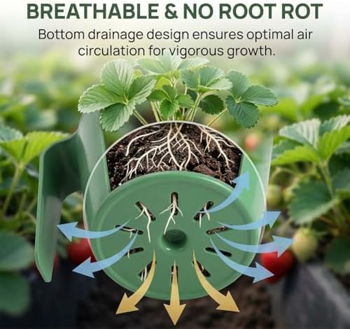 Strawberry Propagation Cups, Breathable Hanging Nursery Pots with Runner Forks, Thickened Potted Food Grade Greenhouse Seedling Cup for Garden Balcony Rooting & Transplanting (20-L Cups + 50 Forks) - Image 4