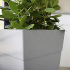 Bloem Tall Finley Tapered Square Planter: 25" - Cement Gray - Matte Textured Finish, 100% Recycled Plastic Pot, for Indoor and Outdoor Use, Gardening, 9 Gallon Capacity - Image 2