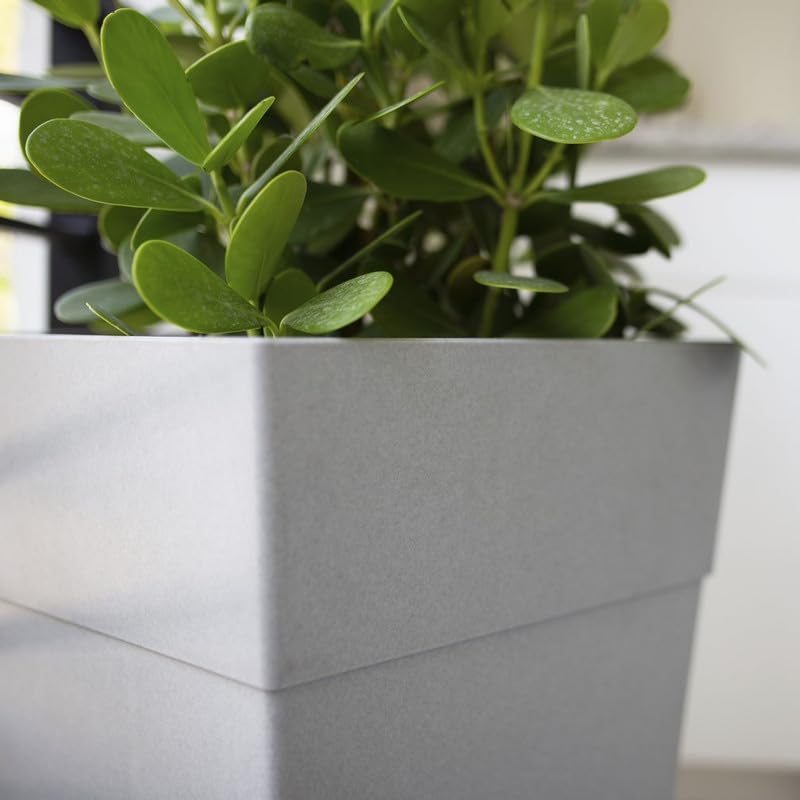 Bloem Tall Finley Tapered Square Planter: 25" - Cement Gray - Matte Textured Finish, 100% Recycled Plastic Pot, for Indoor and Outdoor Use, Gardening, 9 Gallon Capacity - Image 2