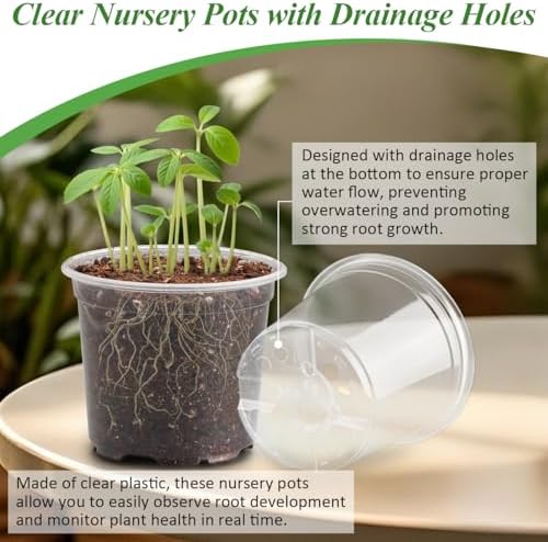 RooTrimmer 60 Pack Clear Nursery Pots with Humidity Domes, 4 Inch Plastic Plant Pots with Drainage Holes for Seedlings, Transparent Seed Starting Pot for Cuttings Propagation Indoor Gardening - Image 3