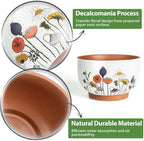 Terracotta Pots, 8+6 Inch Plant Pots, 2 Pcs with Drainage Holes - Image 5
