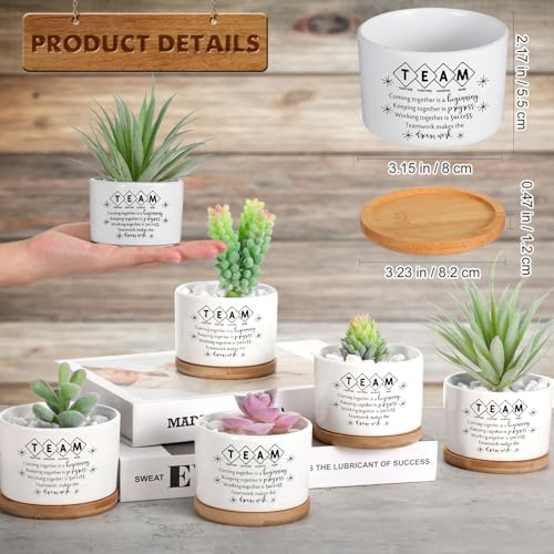 12 Pcs Team Appreciation Gifts for Employees Succulent Pots - Image 2