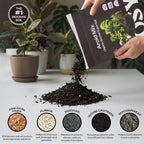 Rosy Soil Aroid Soil Mix, Chunky Biochar Potting Mix, 4 Quarts, Pack of 2 - Image 4