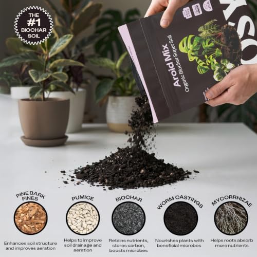 Rosy Soil Aroid Soil Mix, Chunky Biochar Potting Mix, 4 Quarts, Pack of 2 - Image 4