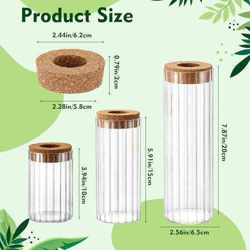 6 Sets Glass Plant Propagation Vases Cork Lid, 3 Size Desktop - Image 2
