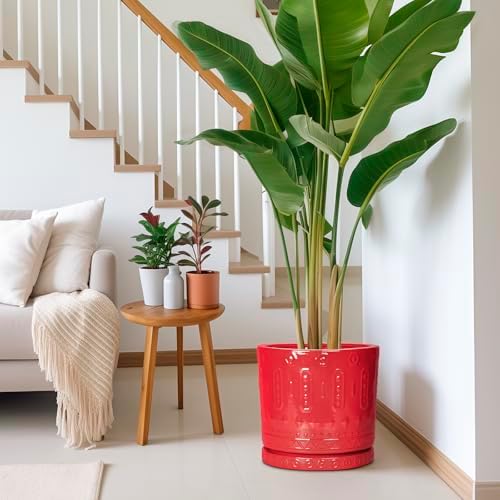 Eightpot 12 Inch Pots for Plants, Ceramic Pots for Plants Indoor Outdoor, Round Flower Pot with Drainage Holes and Saucers, Modern Decorative Planter, Home Porch Decor, Gardening Gifts, Red - Image 6