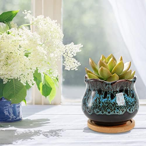 TOPZEA Set of 6 Succulent Plant Pots, 4 Inch Glazed Ceramic Cute Plant Pots with Drainage and Saucer, Mini Bonsai Planter Small Cactus Flower Pots for Indoor Outdoor Use (Pack of 2) - Image 5