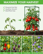 3 Pack Tomato Cages,Square Tomato Plant Stakes Support Cages Trellis for Garden Climbing Vegetables Flowers Fruits,Extra Bold - Image 4