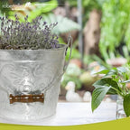 Headwind Vintage Collection - Floral Galvanized Planter with Handles – Metal Flower Pot & Decorative Bucket Planter, Rustic Metal Outdoor Planter with Drainage Hole for Indoor Plants & Outdoor Garden - Image 7