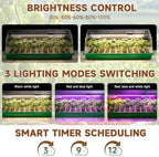 Seed Starter Tray with Grow Light, Seed Starter Kit Full Spectrum with 5 Dimmable Brightness & Timer, Indoor Plant Grow Tray for Beginners & Seasoned Gardeners, Gardening Gifts (Green, 144 Cells) - Image 2