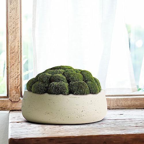 Olly & Rose Large Ceramic Planter Bowl Shallow Plant Pot - Off White Cream Ivory Flower Pot Indoor and Outdoor Decorative Bowl Garden and Home Décor - Image 4