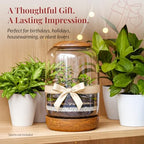 Glass Terrarium, Wood Lid and Base, 8.7" x 6.3" - Image 4