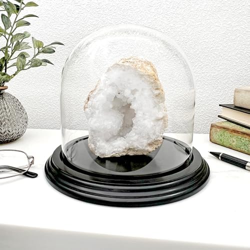 Plymor 5.5" x 5.5" Glass Display Dome Cloche (Black Wood Veneer Base) - Image 2