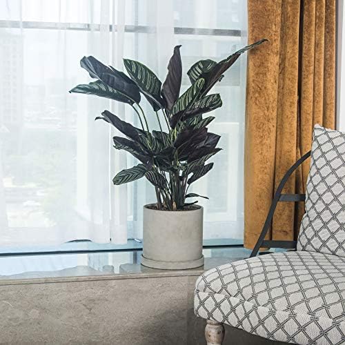 Ekirlin 9 Inch Flower Plant Pot Indoor - Grey Cement Garden Planter Concrete Planter with Drain Hole Saucer, Modern Succulents Containers for Home Decor, Office & Outdoor - Image 4