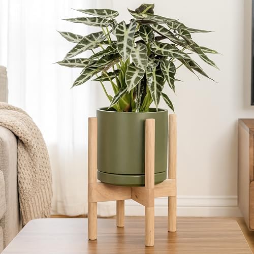 D'vine Dev Ceramic Pot with Natural Wood Stand, Olive, 8 in, 55-B-N-J - Image 6