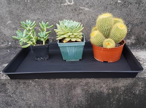 VUWEZ 4 Pack Plant Saucer Tray Rectangular, Plant Growing Nursery Trays, Heavy Sturdy Seed Starting Trays, Plants Starter Saucers for Indoors No Holes, Seed Starter Growing Tray (17.5"x10.6", Black) - Image 5
