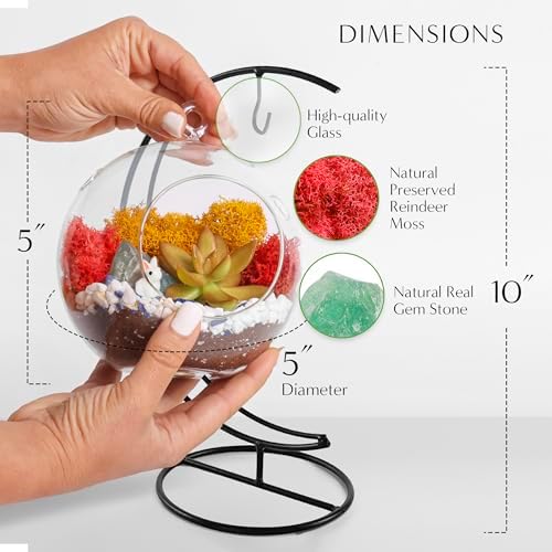 Creations by Nathalie - 5" Glass Globe Succulent Terrarium Kit, Hanging DIY Starter Kit for Kids and Adult, Metal Stand, Reindeer Moss, Crystal & Rocks, Tools, Figurine (Live Plant Included) - Image 4