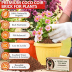 Legigo 8 Pack Coco Coir Bricks for Plants- 100% Organic Coconut Coir Soil - Image 2
