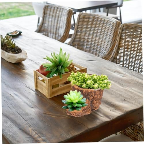 Abaodam Tree Root Flower Pots Unique Driftwood Design for Succulents Small Plants Durable Decorative Planter for Home Office Garden Use - Image 4