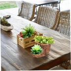 Abaodam Tree Root Flower Pots Unique Driftwood Design for Succulents Small Plants Durable Decorative Planter for Home Office Garden Use - Image 4