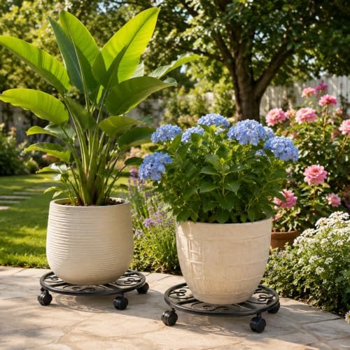 3 Pack Metal Plant Caddy with Wheels, 20 Inch Plant Stand with Wheels Heavy Duty Wrought Iron Large Rolling Plant Caddy Plant Dolly Plant Rollers Plant Cart Large Plant Mover - Image 2
