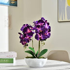 Large Artificial Orchid Arrangement in Oval Ribbed Ceramic Pot, Dark Purple - Image 4
