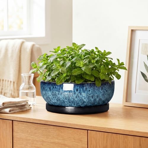 Bonsai Pots, 10 Inch Ceramic Succulent Pots with Saucer, Blue - Image 6