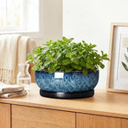 Bonsai Pots, 10 Inch Ceramic Succulent Pots with Saucer, Blue - Image 6